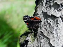K1600_DSCN6039.webp