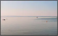 26aa.webp