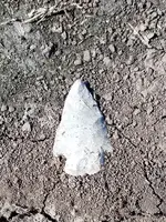 2019-05-17 10.15.49.webp