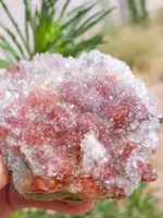 20190612_090822~2.webp