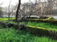 Cameron's Homesite 2019.webp