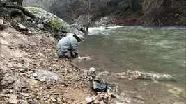 Butte Creek Biggest.webp