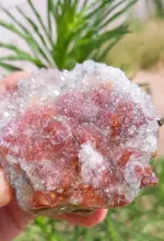 20190612_090454~2.webp