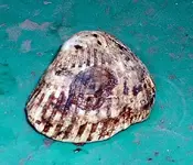 DSCF0001.webp