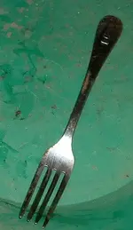 DSCF0007.webp