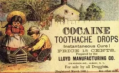 vintagecocaineadvertisementalbany.webp vintagecocaineadvertisementalbany.webp