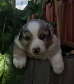 20190630_185350(1).webp