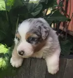20190630_185411(1).webp