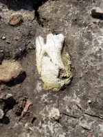 20190519_213543.webp