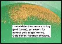gold dichotomy.webp
