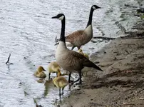 K1600_DSCN5880.webp