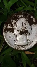 1932 quarter 060219.webp