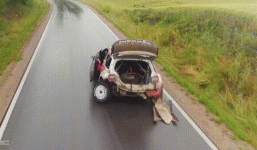 FB06BDC6-CFC7-48A6-B37F-C41157B7CD14.gif FB06BDC6-CFC7-48A6-B37F-C41157B7CD14.gif