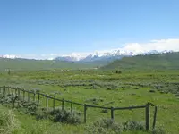 Wyoming Forest 001.webp