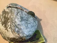 ImageUploadedByTreasureNet.com1561944405.270999.webp