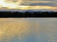 walk 051619 1.webp