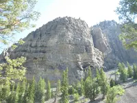 Wyoming Forest 002.webp Wyoming Forest 002.webp