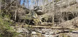 20190331_153828.webp