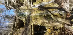20190331_154042.webp