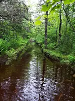 20190630_132922.webp 20190630_132922.webp