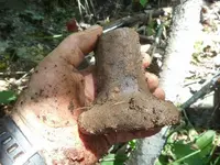 DSCN3790.webp