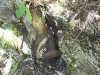 DSCN3800.webp