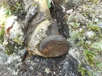 DSCN3802.webp