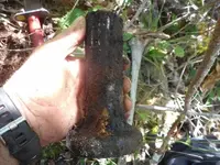 DSCN3798.webp