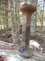 DSCN3811.webp