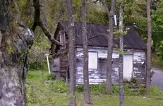 000lll.webp