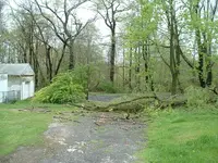 DSCF0002.webp