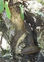 DSCN3800.webp