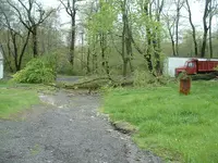 DSCF0003.webp