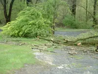 DSCF0004.webp