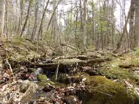DSCN0572.webp