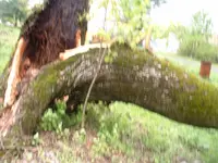 DSCF00032.webp