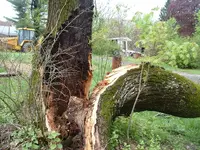 DSCF00052.webp