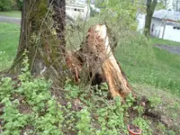 DSCF00072.webp