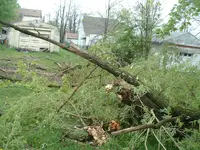 DSCF00092.webp