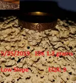 DocBeav 2019 Gold Ring #10.webp DocBeav 2019 Gold Ring #10.webp