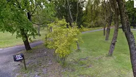 000uuu.webp