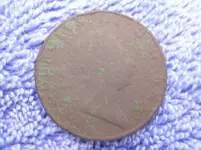 Bermuda Copper F-small.webp
