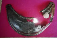 DSCN3734.webp