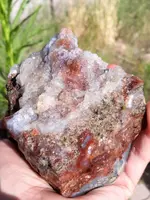 20190527_082101~2.webp