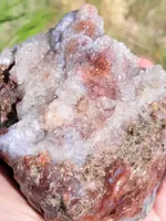 20190527_081623~2.webp