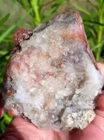 20190527_075918~2.webp
