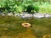viewing box.webp