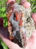 20190527_080218~2.webp