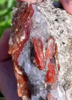 20190527_080509~2.webp