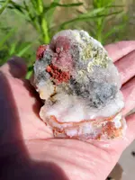 20190527_074938~2.webp